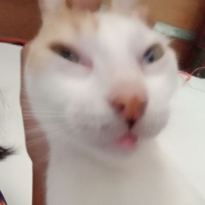 kim_tkook1230's profile picture. kalats and reading acc