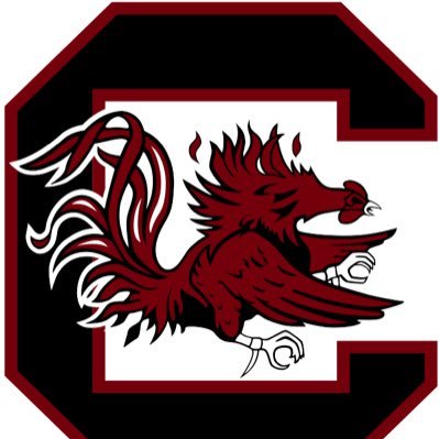 Head Track & Field and XC Coach University of South Carolina