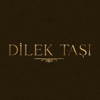 Dilek Taşı(@dilektasidizisi) 's Twitter Profileg