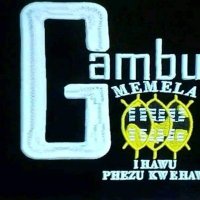 Action_Actiono (@action_actiono) 's Twitter Profile