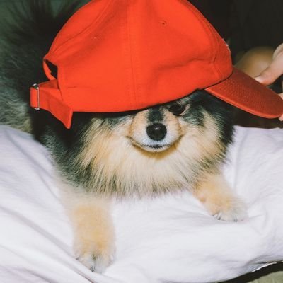 Noofaaaa7's profile picture. Know me personally? gtfo. OT7 and OT5 stan. Solo stans can rot in hell