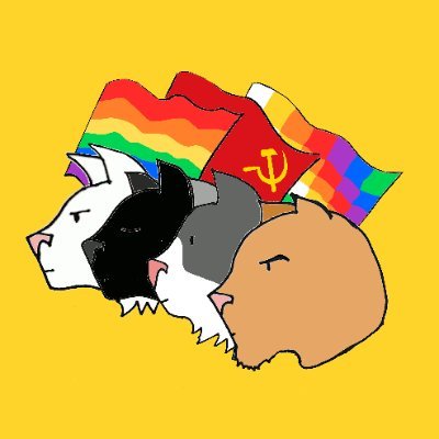 gatoscomunistas Profile Picture