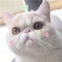 Giuseppe Corbisiero❤ Memecoin (@giuseppecorbis1) 's Twitter Profile