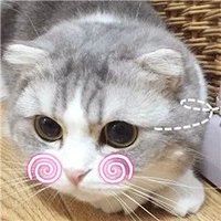 Fernando❤ Memecoin (@fernand97186415) 's Twitter Profile
