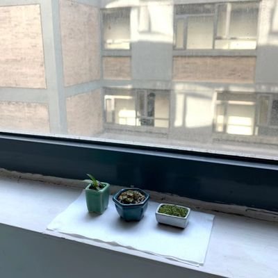 brickbuilder_19's profile picture. 