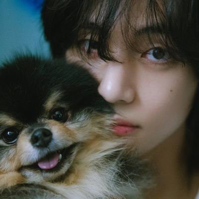 🎄 스윗나잇•풍경듣는 {태태럽🐻}さんのプロフィール画像