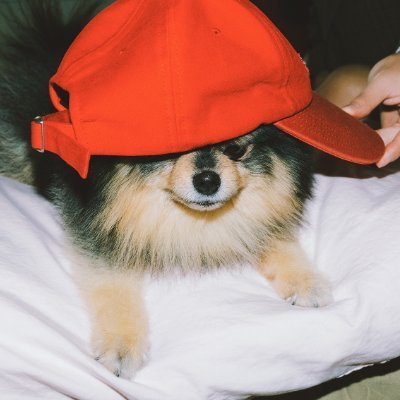 22 ☆ ZA ☆ 2025 IS HERE ☆ bts long fluffy hair enthusiast ☆ spotify streaming playlists ⤵