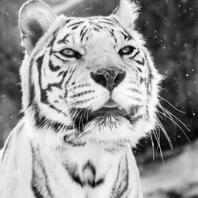 Daniell85610501's profile picture. 