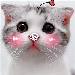 AnaFL123456789's profile picture. 