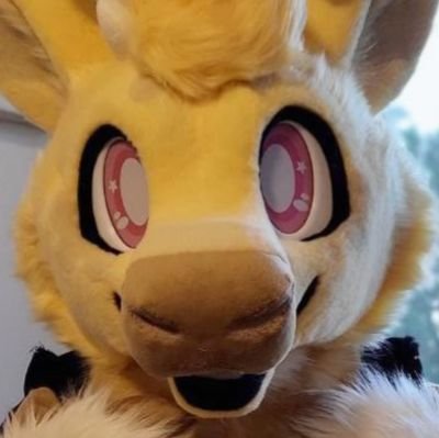 Quebec Based Fursuit Making Company • Commissions CLOSED, Quotes CLOSED • Look Out For Premades