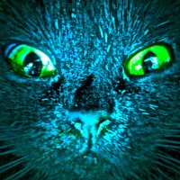 zombiekong (@zombiekong1) 's Twitter Profile