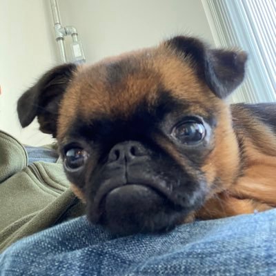 2muchrosco's profile picture. USMC. My last profile got locked out. I’m starting over.