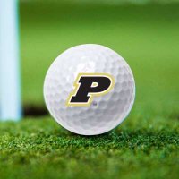 Perrysburg Boys Golf (@perrysburg_golf) 's Twitter Profile
