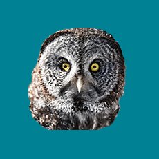 tweetception's profile picture. Tweetception: "An automatic notification to someone whenever another embeds one of that someone's Tweets!"🤔
Such Is "A Network that Helps The World Go Round"‼️