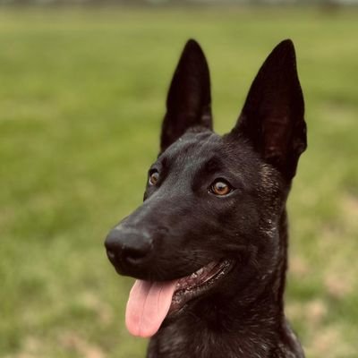 Pimwmh's profile picture. 