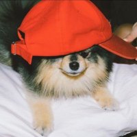 Aa_β·(κͺ)π (@aa7_0109) 's Twitter Profile