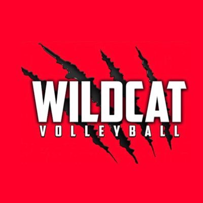 Wildcat Volleyball Profile