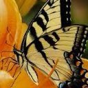 LaurenRM1111's profile picture. 11:11, Archangel Michael, children FIRST ❤️✨🇺🇸💫