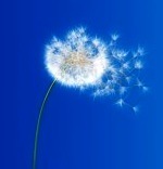 If your small business needs a professional social media management team you can TRUST you have come to the right place.
