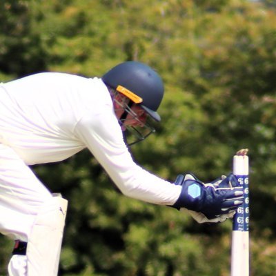 @Rogerstonewcc wicket-keeper, @StMellonsGC Golf Club Manager, formerly @glamgolf. Sport watcher, loving dad & half to @meismum. Gets easily distrac 👀