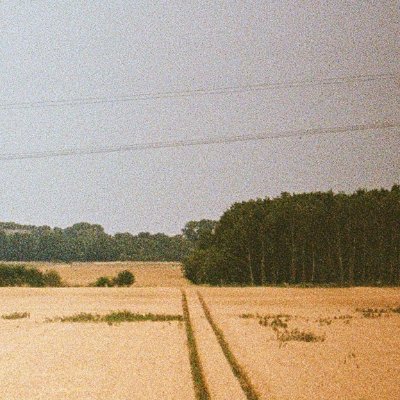 nonumbersguy's profile picture. we become too involved in the thoughts and shifting passions of the beast