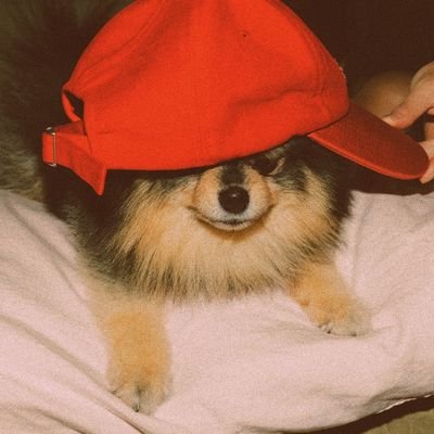 aisheyV03569's profile picture. stan ot7 🐨🐭🐱🐿🐥🐯🐰
ᴊᴜsᴛɪɴ ♡ followed me on 15.9.19

♥️🌕📷
Day Dreamer 💭
🎵usic to ßʀᴇᴀᴛʜᴇ
💫🐶💫