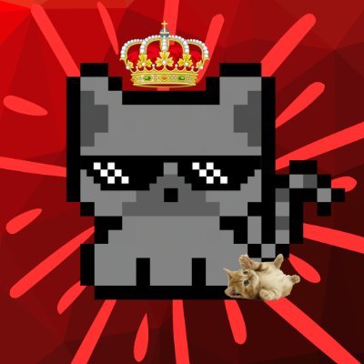 AsierinoT's profile picture. Estudio, Edito, Programo, Juego, y fin.