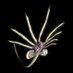 KGOvipositors๐ (@kgovipositors) Twitter profile photo KGOvipositors๐ (@kgovipositors) Twitter profile photo