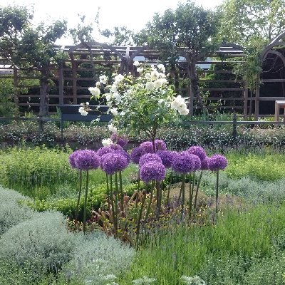 Siyacheckingin's profile picture. 30-something Mum. Supporting local artists 🙌