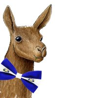 Guanaco en Corbatín (@bowtiedguanaco) 's Twitter Profile