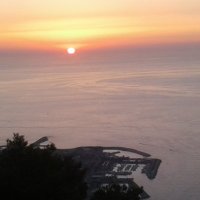 PeTeR _ alt. acct (@peterr44144948) 's Twitter Profile