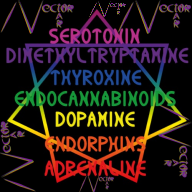 Reflect your sector with VectorNectar!
Vector = Adrenaline, Endorphines, Dopamine; 
Nectar = Endocannabinoids, Thyroxine, DMT & Serotonin: 
animal + mental = VN