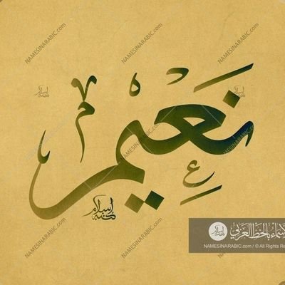 Na_Heme's profile picture. Medical Doctor/Student of Knowledge/Chill Guy/Anime lover