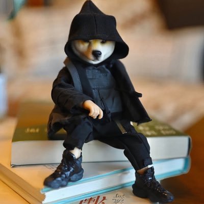 XiaTian14235's profile picture. 