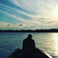 Nanopagliu (@nanopagliu) 's Twitter Profile