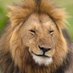 Aslan (@lionchamp1905) Twitter profile photo Aslan (@lionchamp1905) Twitter profile photo