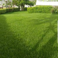 دلع البنات إب (@bdhmhmd23498) Twitter profile photo