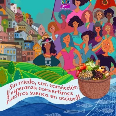 ANAMURI - Asociación Nacional de Mujeres Rurales e Indígenas
 Mujeres trabajadoras del sur a norte, del mar a cordillera en lucha por la Soberanía Alimentaria