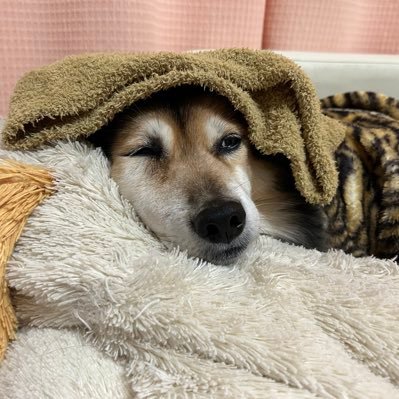 かなえさんのプロフィール画像