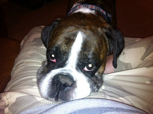 tetseuk's profile picture. hi I'm andrew -- known mostly as Tetse