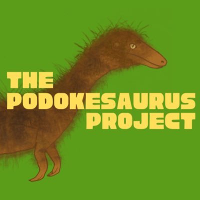 Researching the history and surviving materials of Podokesaurus holyokensis, by @candlenmm and @frejulundr, based at @nysmuseum