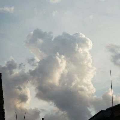 regomester29348's profile picture. 