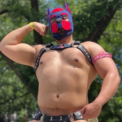 mistermoopup Profile Picture