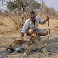 AcSafaris (@acsafaris) 's Twitter Profile