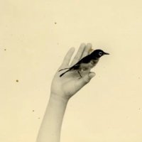 Blure (@bluremusic) 's Twitter Profile Photo Blure (@bluremusic) 's Twitter Profile Photo
