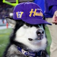 CokeGreaterThanPepsi (@coker_udub) 's Twitter Profile Photo