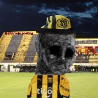 Skiller Aurinegro(@GabrielCrac17) 's Twitter Profile Photo