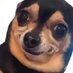 sdi (@sdiidk) Twitter profile photo sdi (@sdiidk) Twitter profile photo
