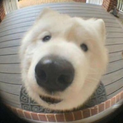 itsdaymondae0's profile picture. ˚｡⋆୨୧˚ แอคปล่อย / ส่งต่อ ของที่ใช้เองค่า มีทวิตหลักนัดรับขอนแก่นได้