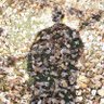 PriteshK89's profile picture. Exploring the how's what's and why's of the microscopic and macroscopic world!